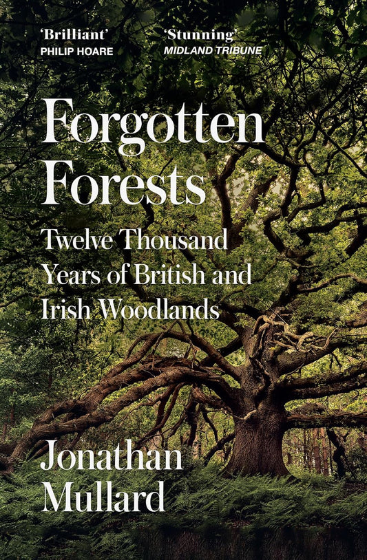 Forgotten Forests: Twelve Thousand Years of British and Irish Woodlands - Jonathan Mullard