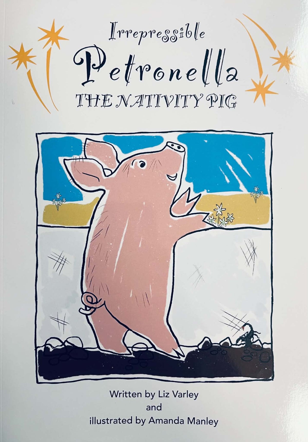 Irrepressible Petronella, The Nativity Pig - Liz Varley | Amanda Manley