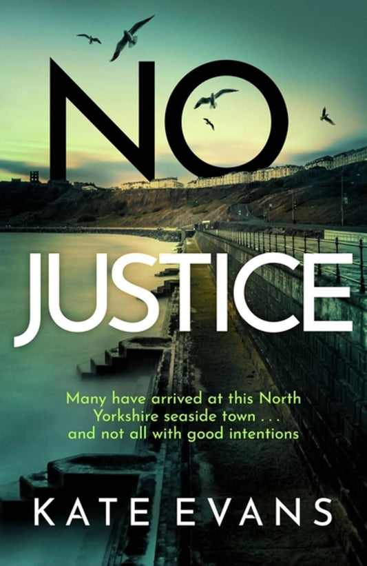 No Justice (DC Donna Morris Series #3) - Kate Evans
