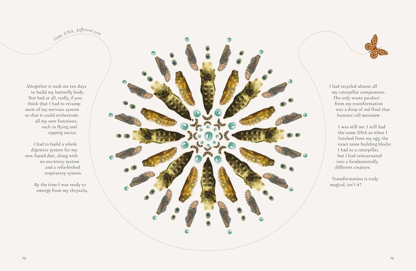 On a Butterfly's Wing: Lessons From Nature on Embracing Change - Astrid Vargas