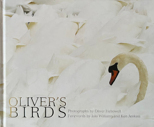 Oliver's Birds - Oliver Hellowell