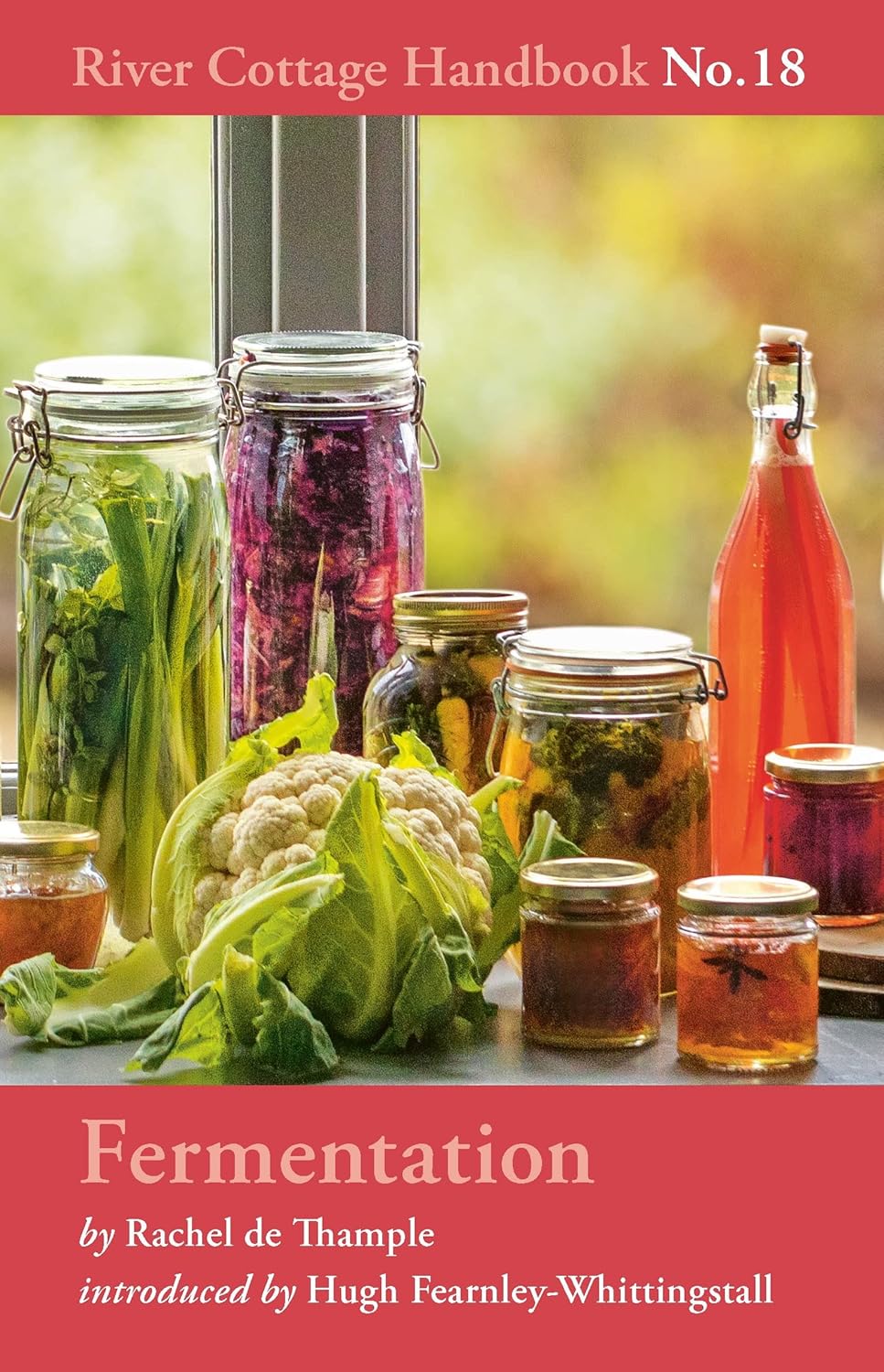 Fermentation (River Cottage Handbook #18) - Rachel de Thample