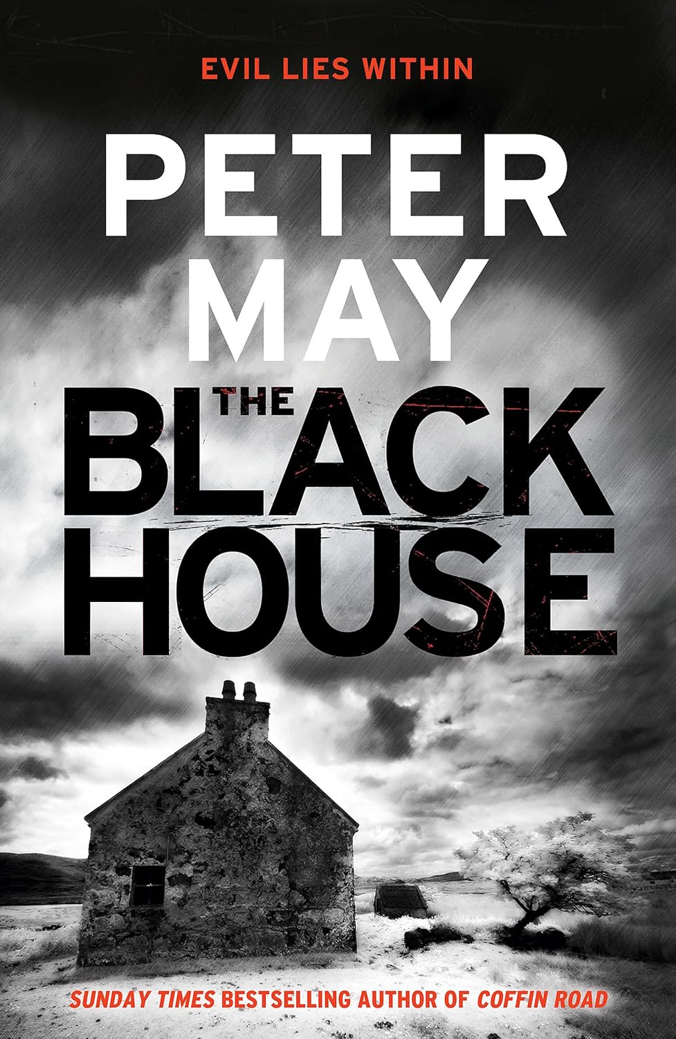 The Blackhouse (The Lewis Trilogy #1) - Peter May