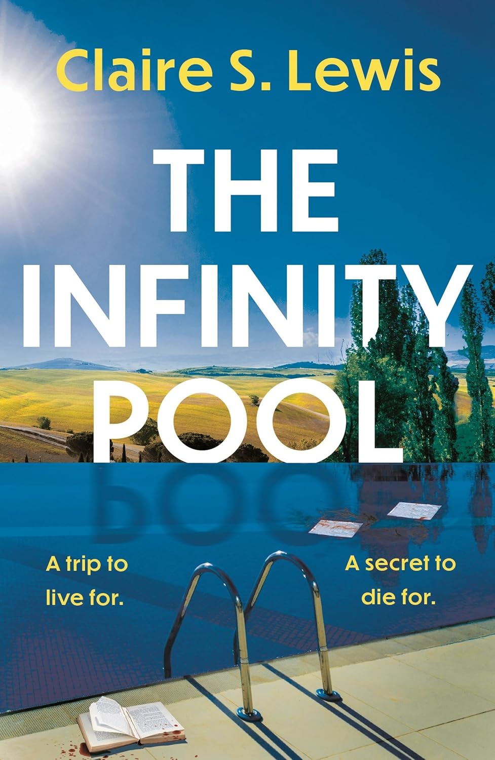 The Infinity Pool - Claire S. Lewis