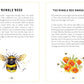 The Little Book of Bees: An Illustrated Guide to the Extraordinary Lives of Bees  - Hilary Kearney | Amy Holliday