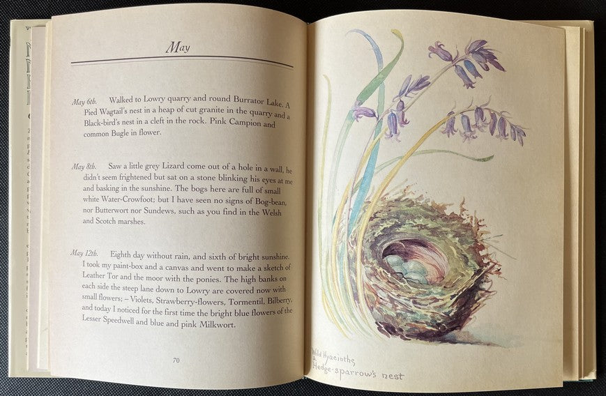 The Nature Notes of an Edwardian Lady (1905) - Edith Holden