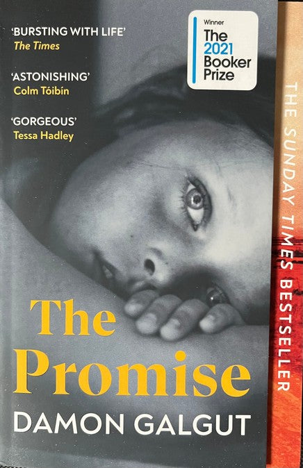 The Promise - Damon Galgut