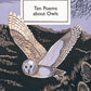 Ten Poems about Owls