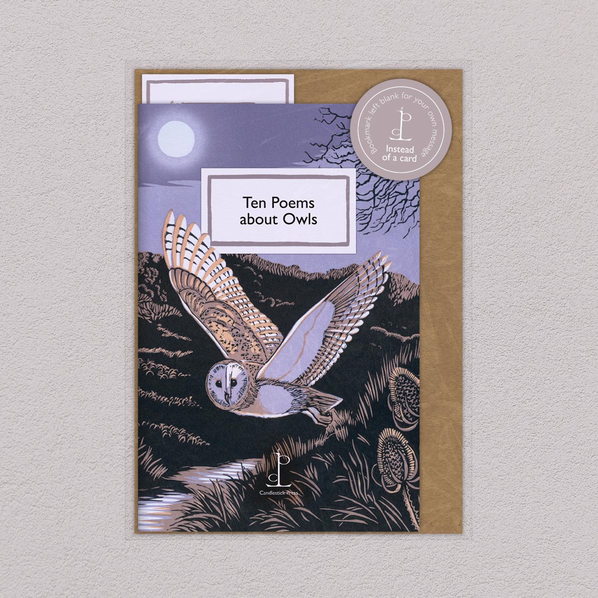 Ten Poems about Owls
