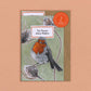 Ten Poems about Robins