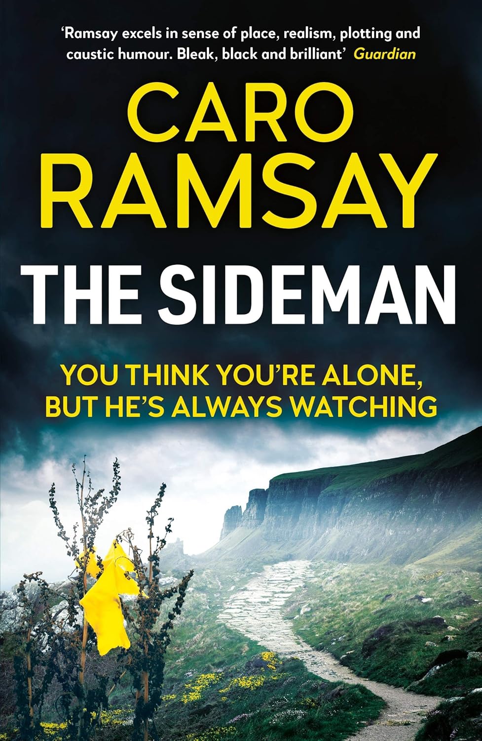 The Sideman (Anderson and Costello Series #10) - Caro Ramsay