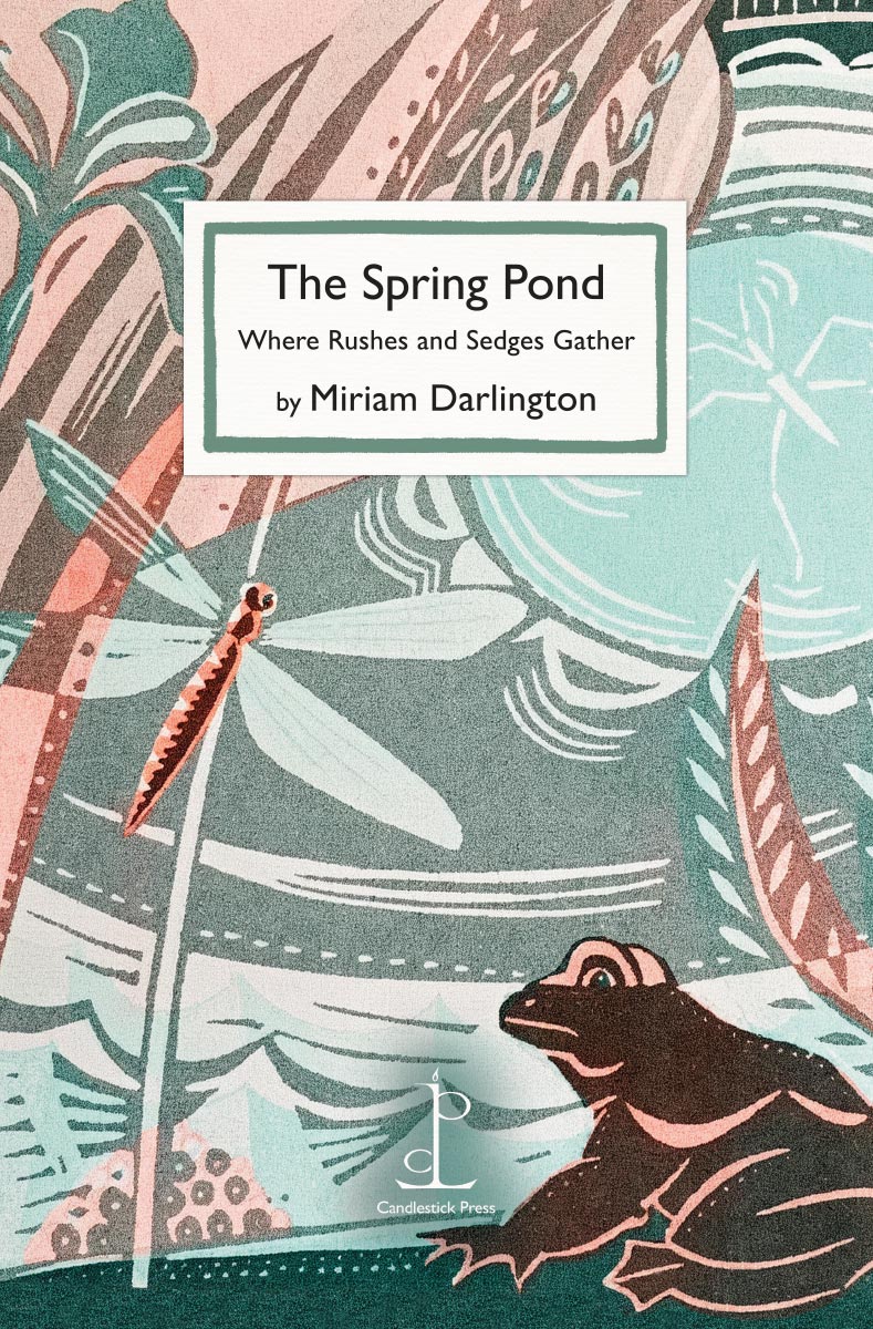 Spring Pond: Where Rushes and Sedges Gather - Miriam Darlington