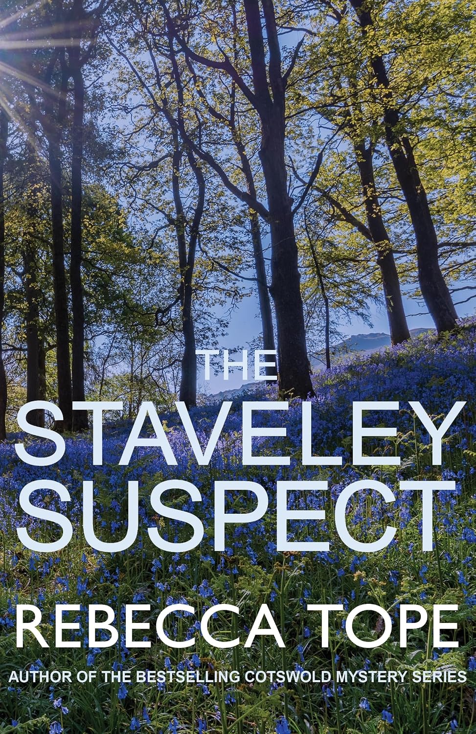 The Staveley Suspect (Lake District Mysteries Series #7) - Rebecca Tope