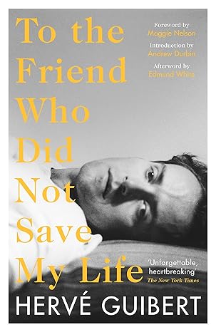 To The Friend Who Did Not Save My Life - Herve Guibert