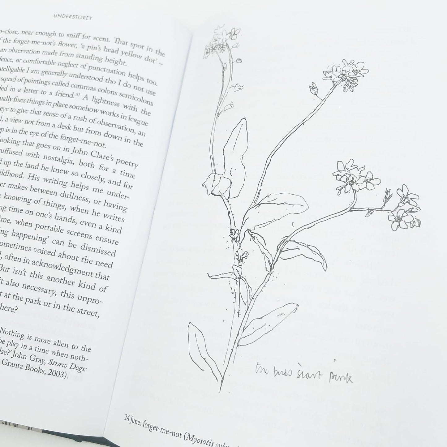 Understorey: A Year Among Weeds - Anna Chapman Parker