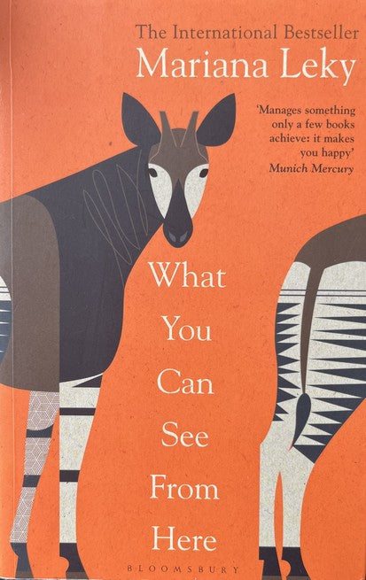 What You Can See From Here - Mariana Leky