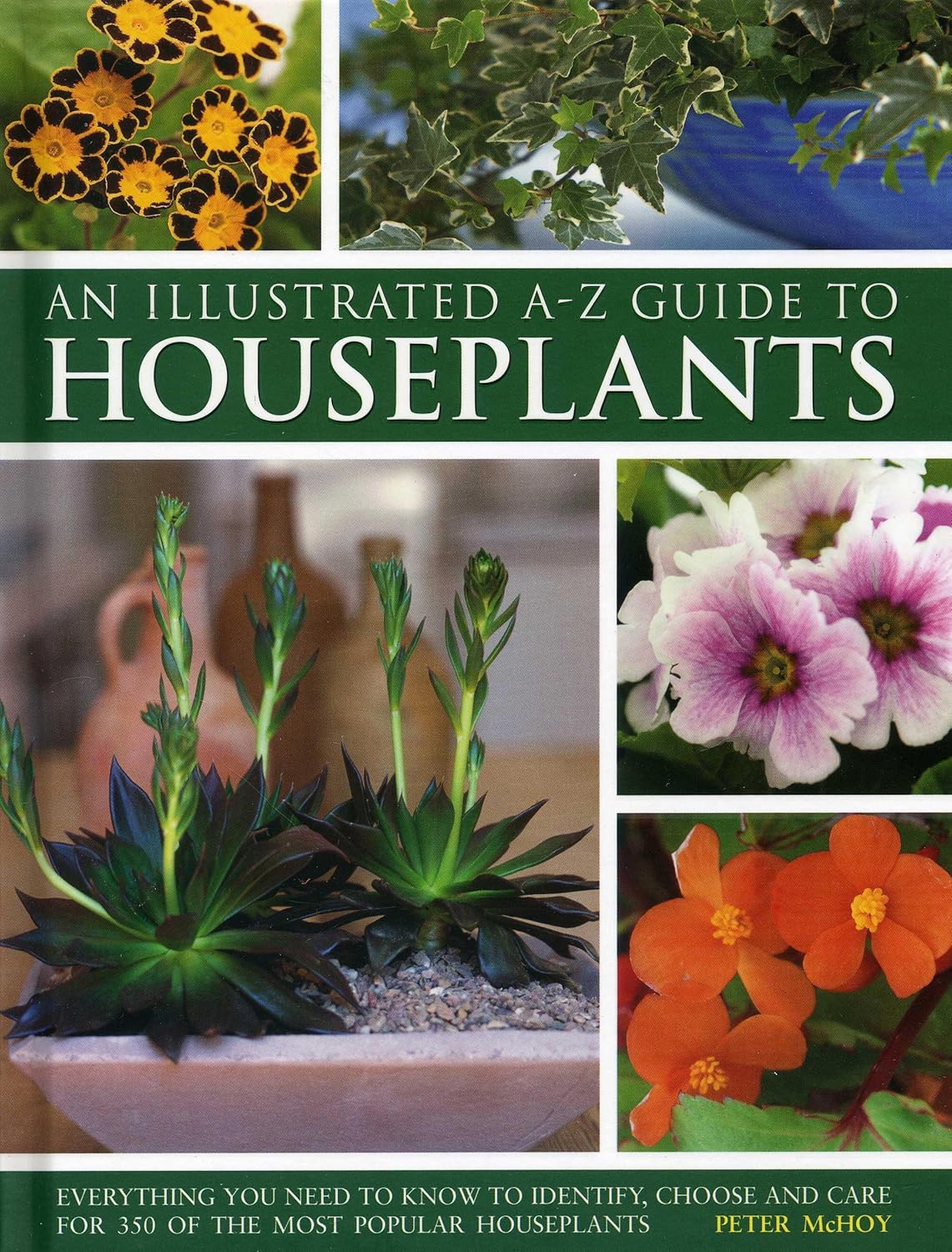 An Illustrated A-Z Guide to Houseplants - Peter McHoy
