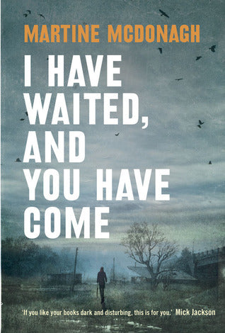 I Have Waited, and You Have Come - Martine McDonagh
