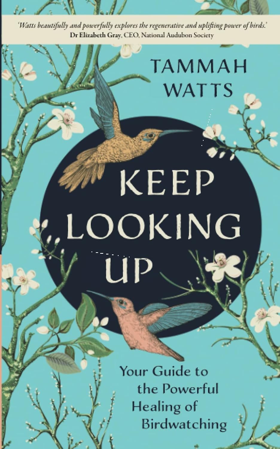 Keep Looking Up: Your Guide to the Powerful Healing of Birdwatching - Tammah Watts