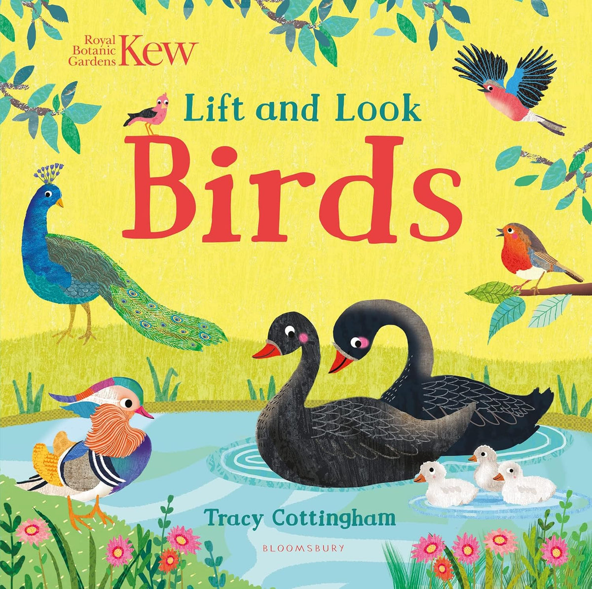 Lift and Look: Birds - Tracy Cottingham