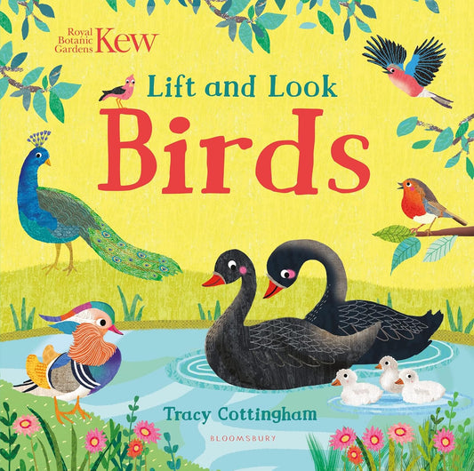 Lift and Look: Birds - Tracy Cottingham