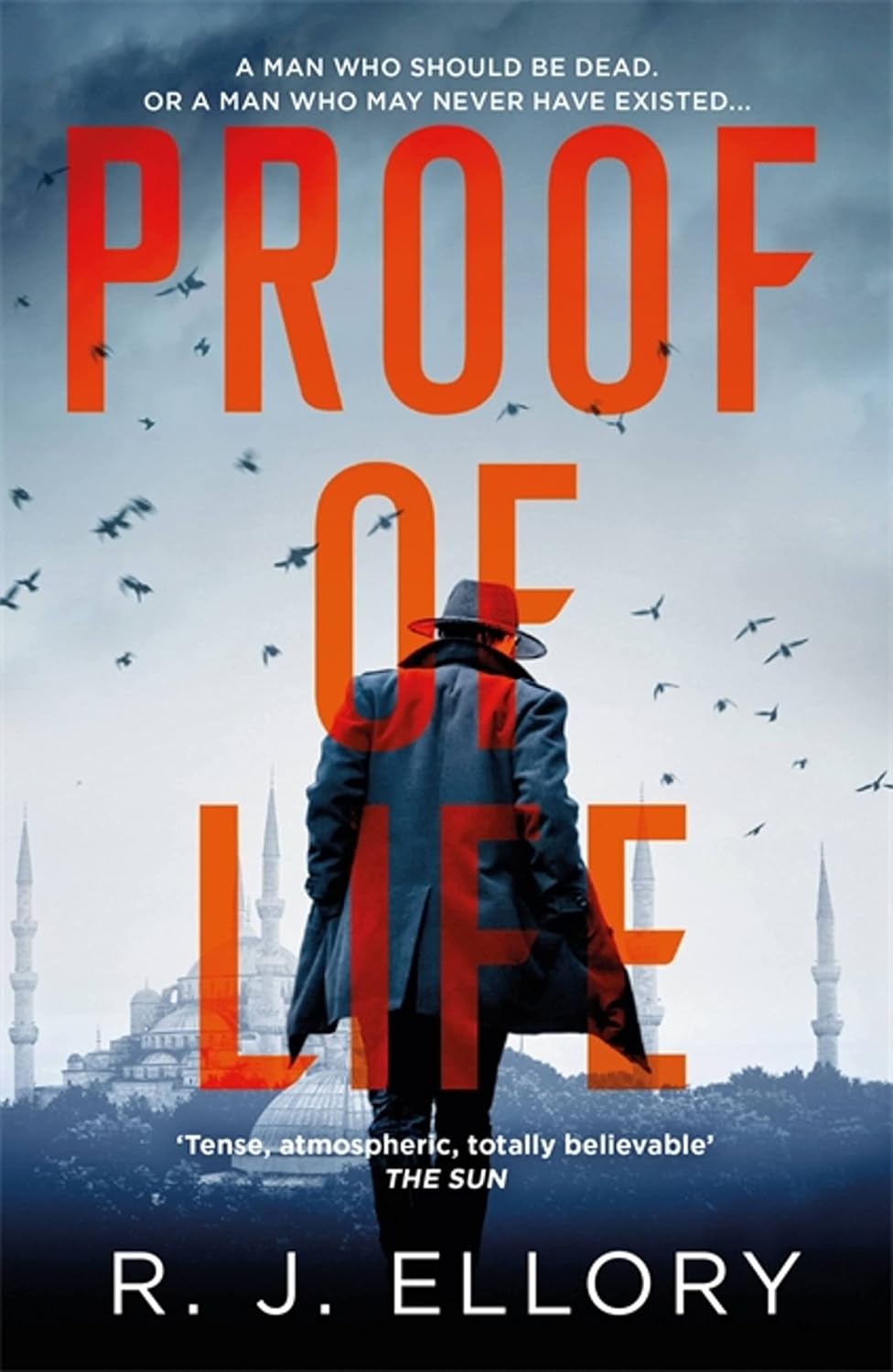 Proof of Life - R.J. Ellory
