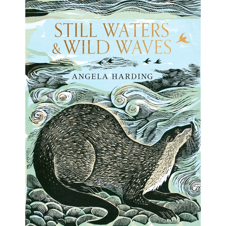 Still Waters and Wild Waves - Angela Harding
