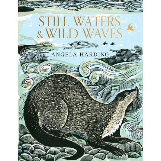 Still Waters and Wild Waves - Angela Harding