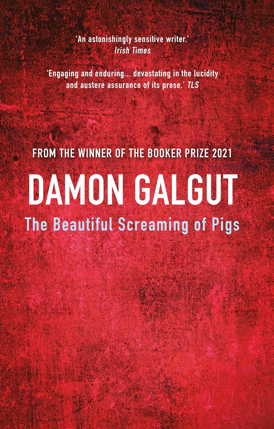 The Beautiful Screaming of Pigs - Damon Galgut