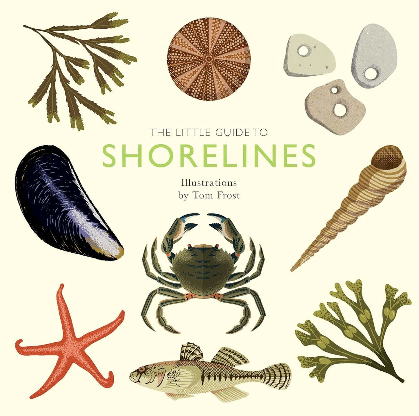 The Little Guide to Shorelines - Alison Davies | Tom Frost