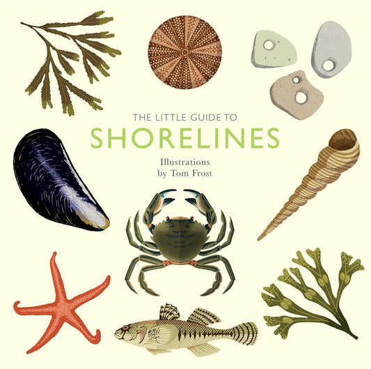 The Little Guide to Shorelines - Alison Davies | Tom Frost