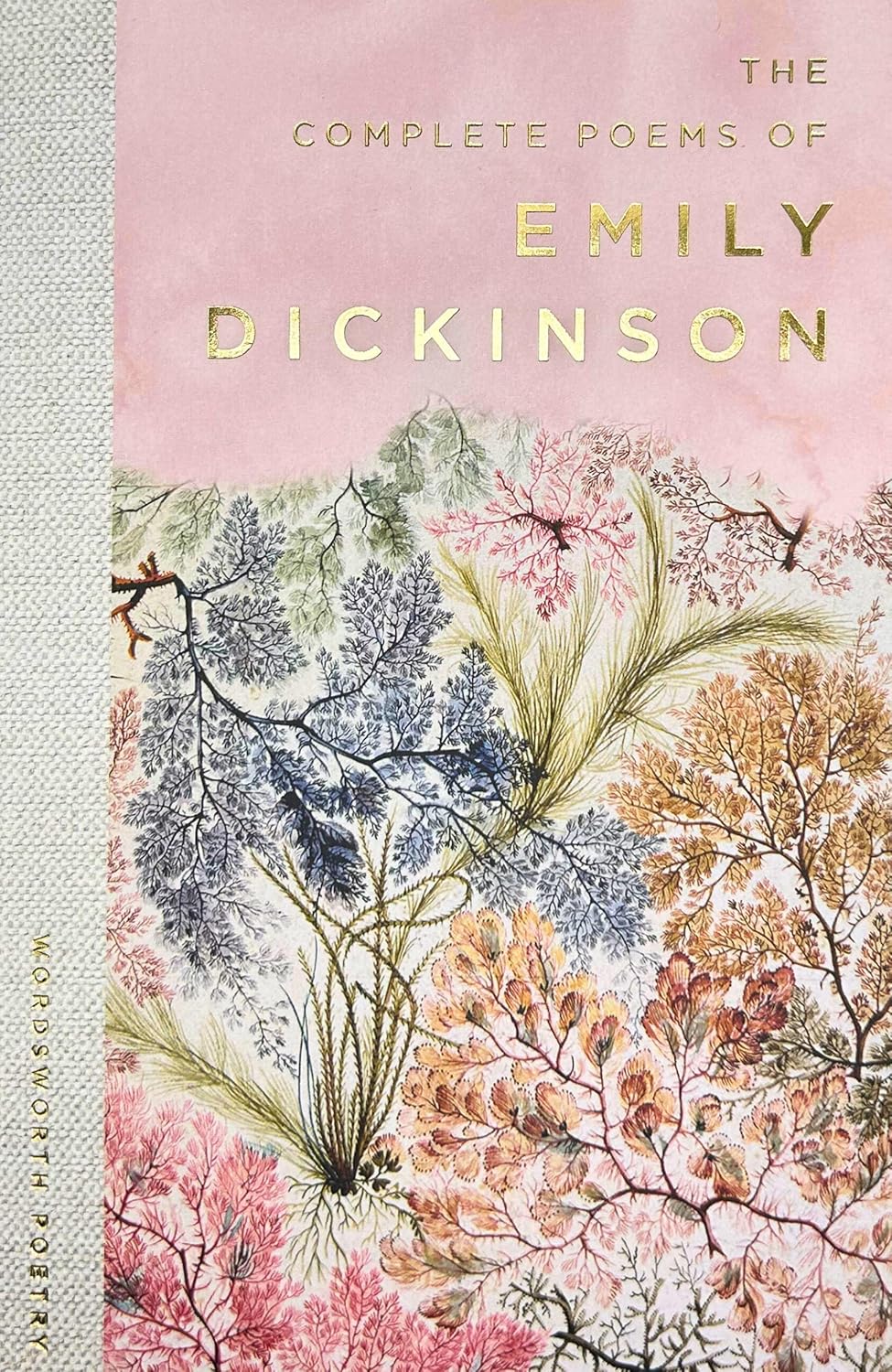 The Selected Poems of Emily Dickinson - Emily Dickinson