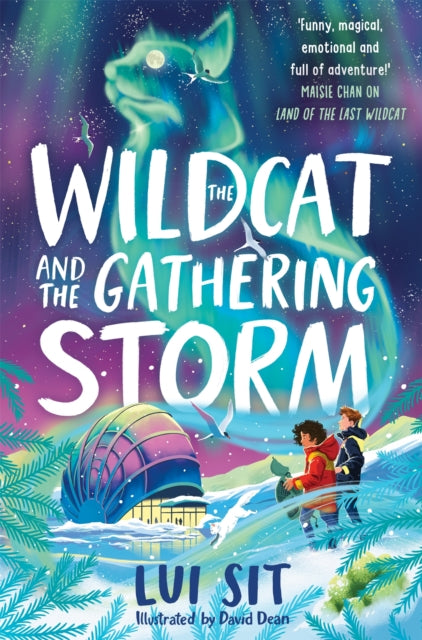 The Wildcat and the Gathering Storm - Lui Sit