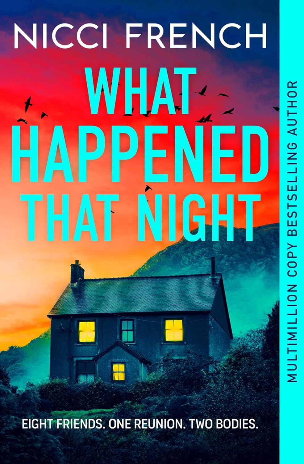 What Happened That Night - Nicci French