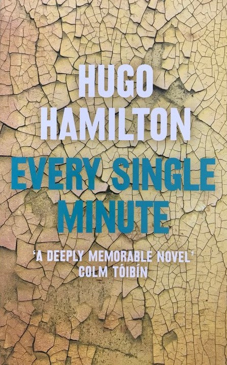 Every Single Minute - Hugo Hamilton