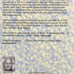 Spies - Michael Frayn