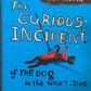 The Curious Incident of the Dog in the Night-time - Mark Haddon