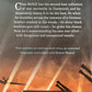 The Machine Gunners - Robert Westall